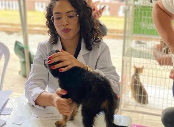 Vacinação antirrábica gratuita e adoção de cães e gatos, nesta quinta-feira (22), em Caruaru