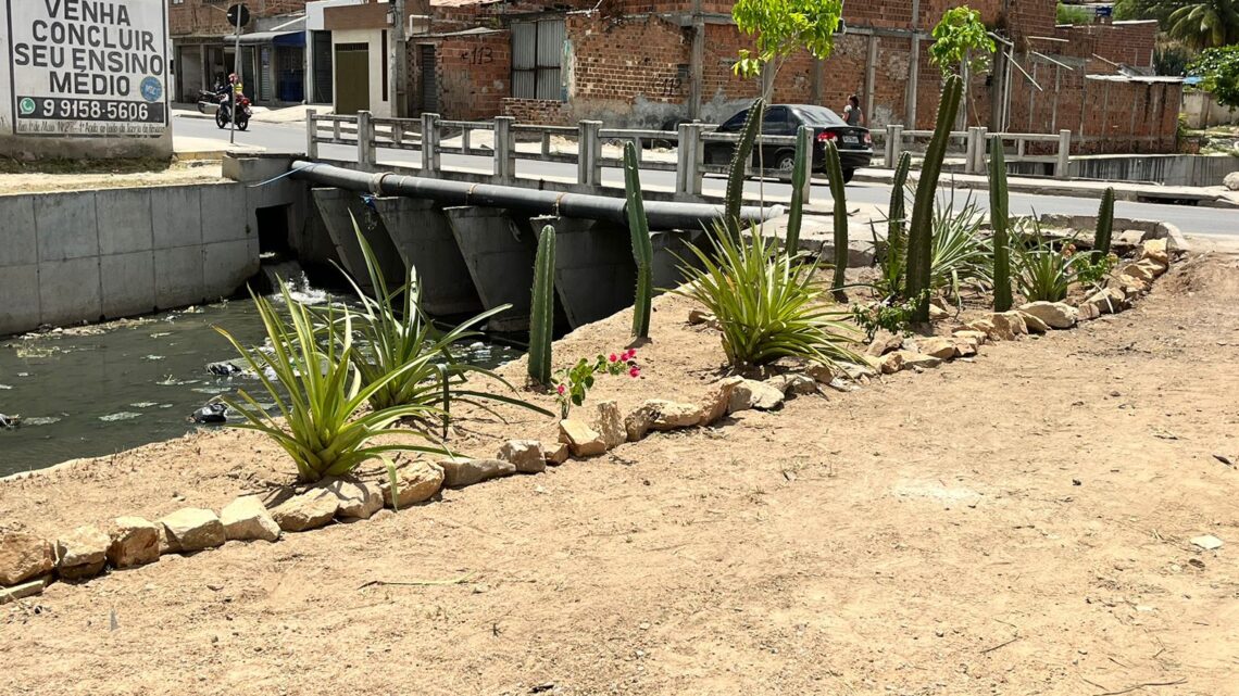 Áreas com acúmulo de lixo passam a se tornar espaços que respeitam o meio ambiente em Caruaru