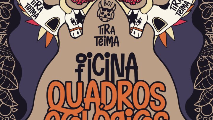 Boi Tira Teima Realizará Oficina de Quadros Ecológicos para Crianças e Adolescentes 