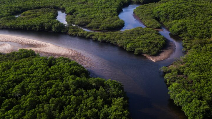 Governo de Pernambuco inicia programação da Semana da Água