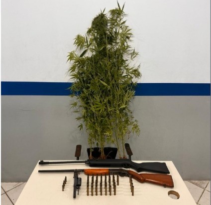 PM prende dois homens, apreende armas e pés de maconha