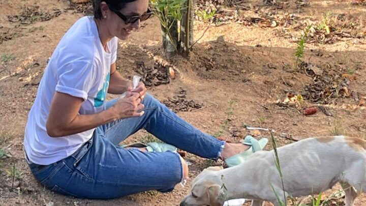 Transforma Caruaru informa: Campanha de prevenção contra a crueldade animal encerra nesta sexta-feira (10)