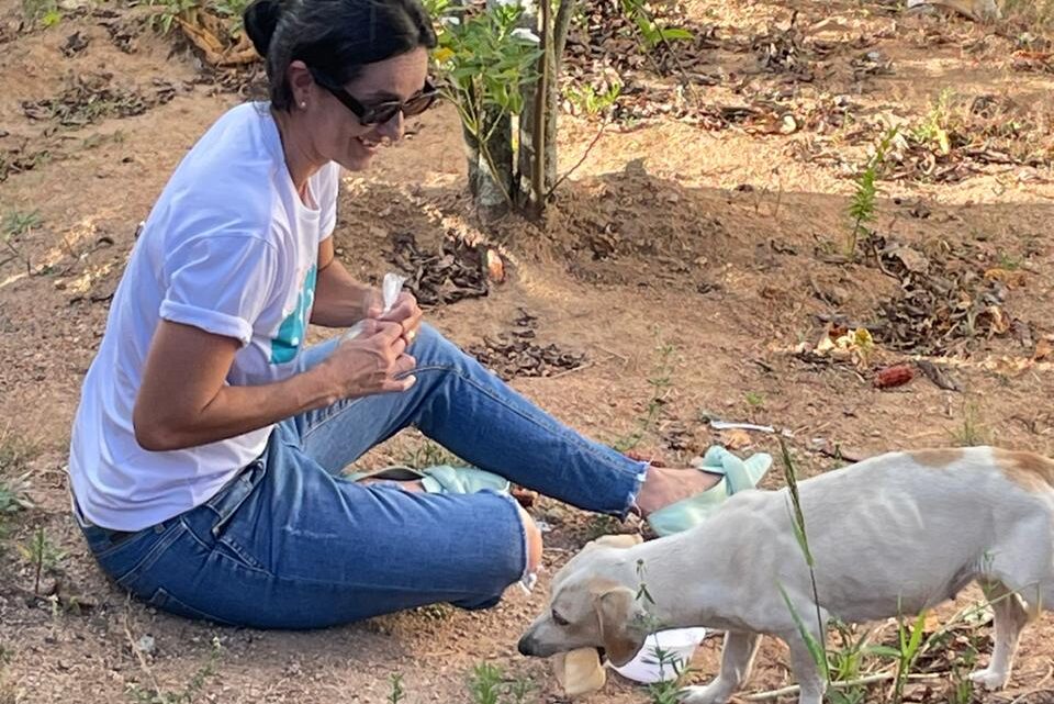 Transforma Caruaru informa: Campanha de prevenção contra a crueldade animal encerra nesta sexta-feira (10) Transforma Caruaru informa: Campanha de prevenção contra a crueldade animal encerra nesta sexta-feira (10)