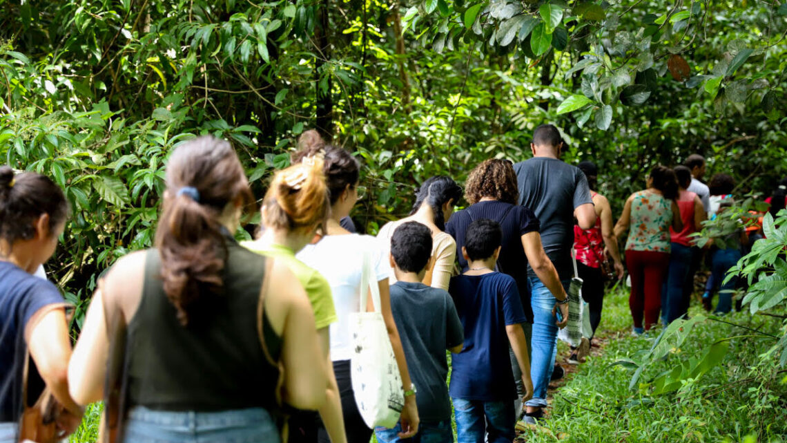 Pernambuco promove Semana do Meio Ambiente com vasta programação Pernambuco promove Semana do Meio Ambiente com vasta programação