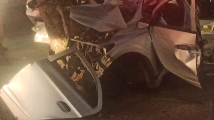Cinco pessoas morrem e uma fica ferida, após carro colidir em árvore