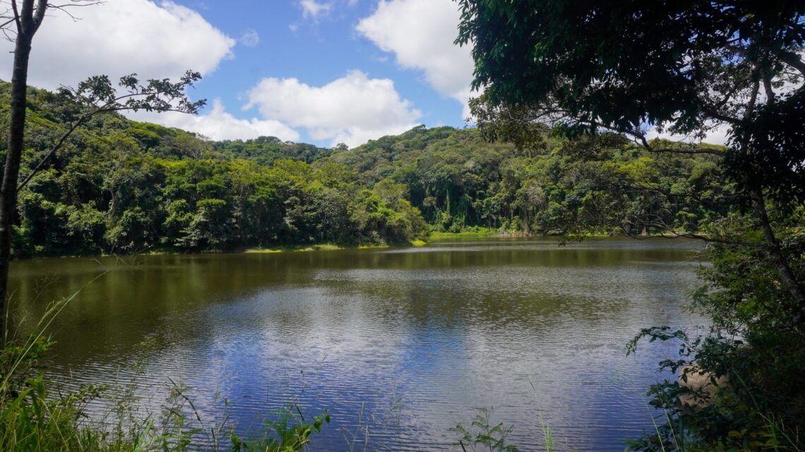 Parque Ambiental Municipal de Serra dos Cavalos celebra 41 anos de funcionamento nesta sexta-feira (05)