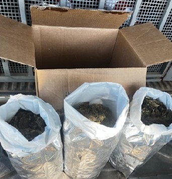 Homem é preso com mais de 2 kg de maconha