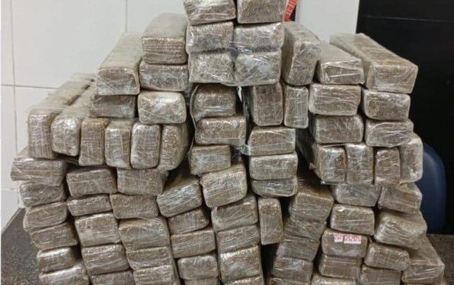 PMPE apreende quase 90 kg de maconha