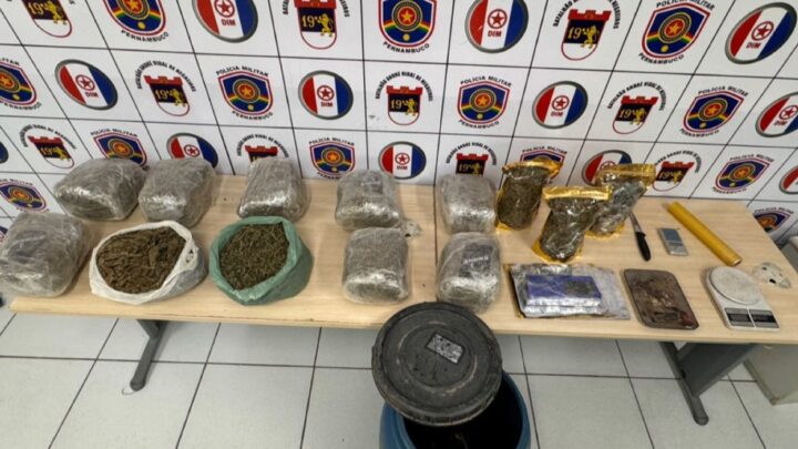 PM apreende quase 12kg de maconha em área de mangue
