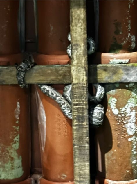PM resgata serpente jararaca em condomínio PM resgata serpente jararaca em condomínio