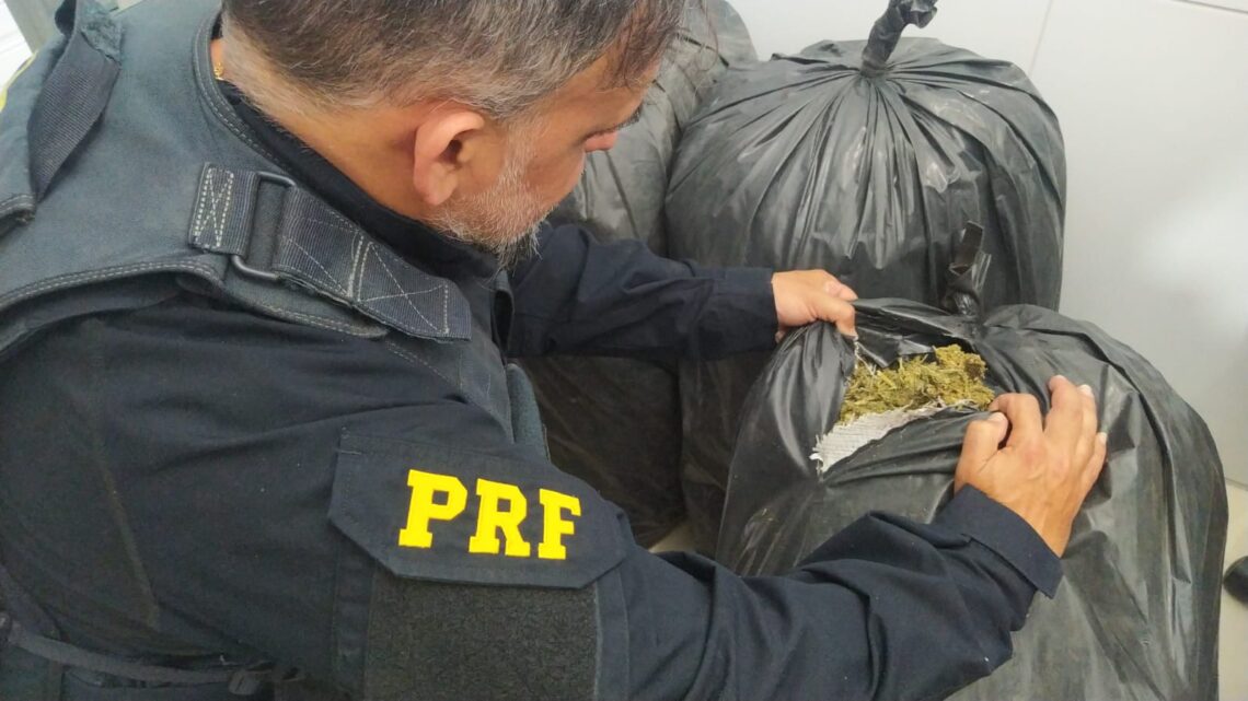 Caminhonete carregada com 156 Kg de maconha é apreendida pela PRF na BR 232 Caminhonete carregada com 156 Kg de maconha é apreendida pela PRF na BR 232