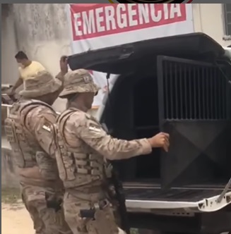 Homem que matou esposa e filhas queimadas, morre em confronto com a polícia