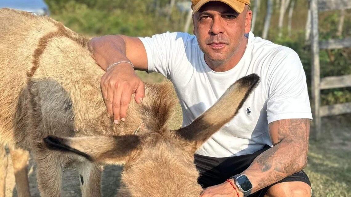 Anderson Correia alerta para fiscalização de maus-tratos a animais de grande porte em Caruaru