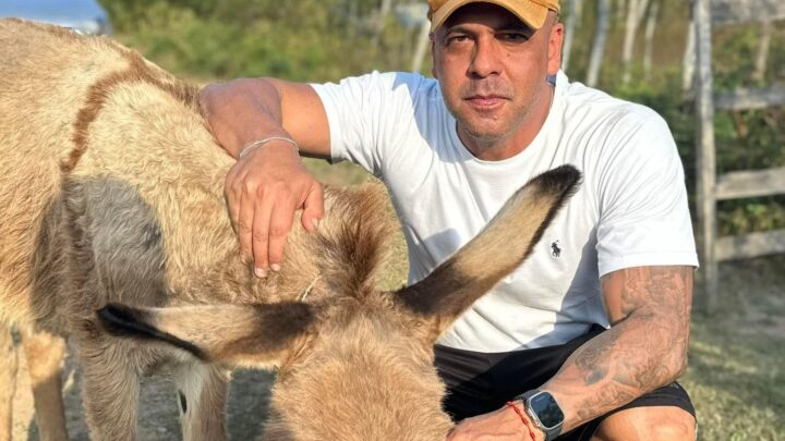 Anderson Correia alerta para fiscalização de maus-tratos a animais de grande porte em Caruaru