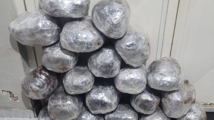 PMPE apreende mais de 20kg de maconha em ponto de ônibus