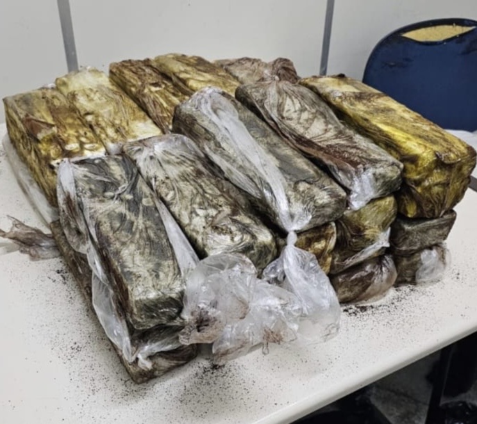 Mulher é presa com 22 kg de maconha dentro de mala em micro-ônibus