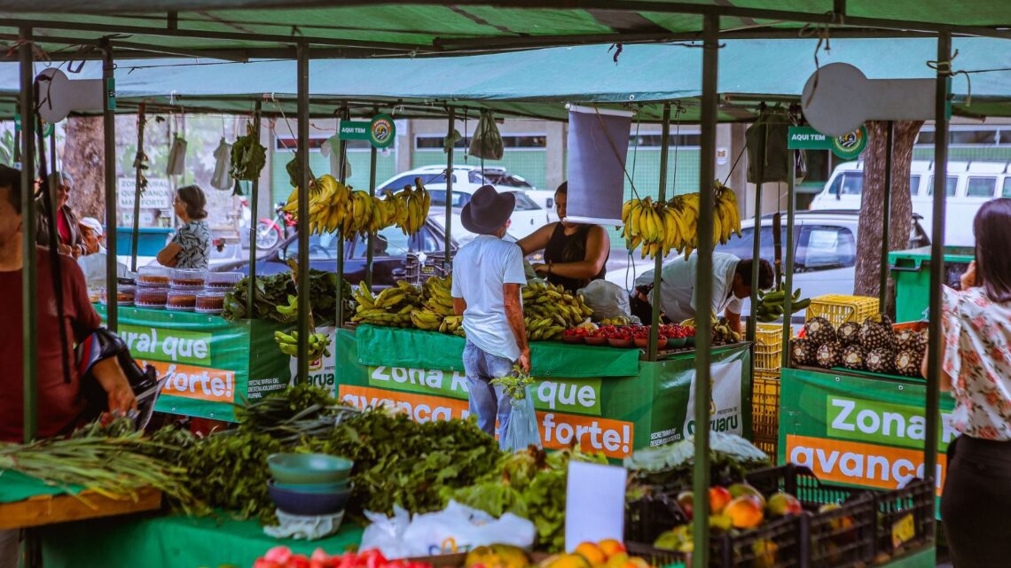 Feira da Agricultura Familiar é uma ótima opção para as receitas de fim de ano Feira da Agricultura Familiar é uma ótima opção para as receitas de fim de ano