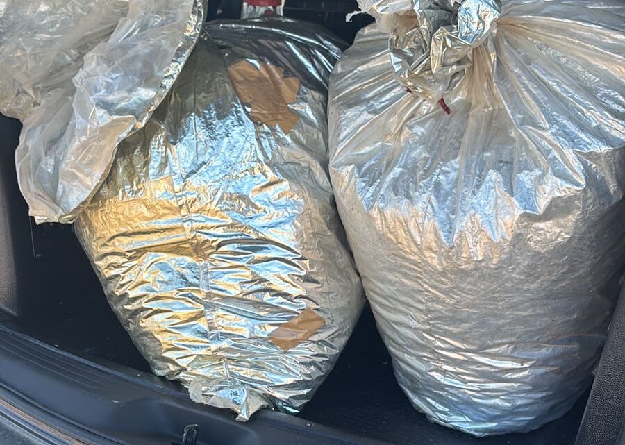 Após fuga e colisão com cerca, PRF apreende supermaconha na BR 232