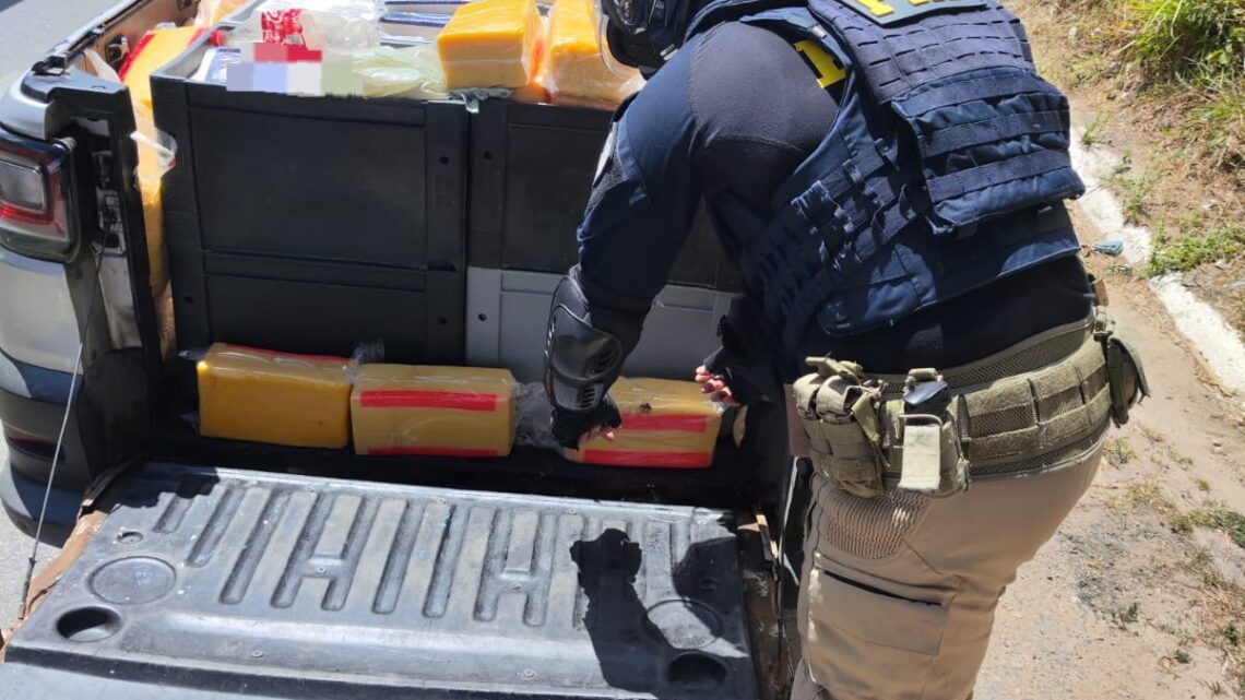 Carga de 400 Kg de queijo sem refrigeração é apreendida pela PRF e Guarda Municipal