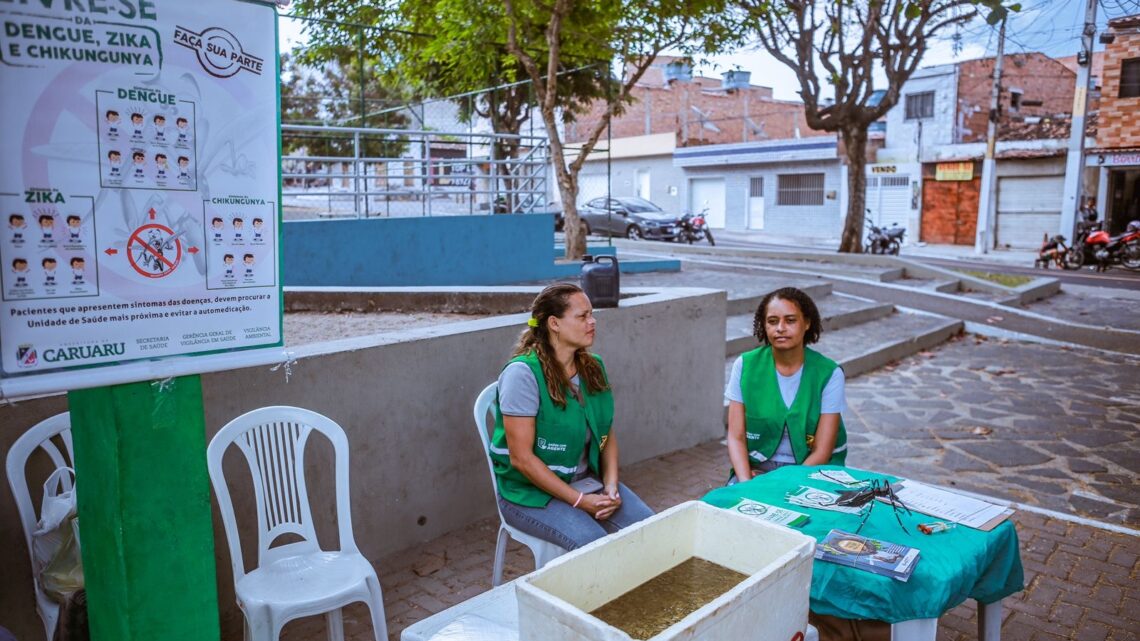 Secretaria de Saúde alerta para cuidados com o Aedes aegypti no verão e 97% dos focos do inseto estão dentro de casas