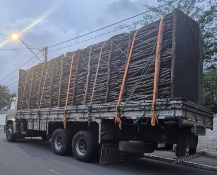 Carga ilegal de madeira apreendida na BR 232