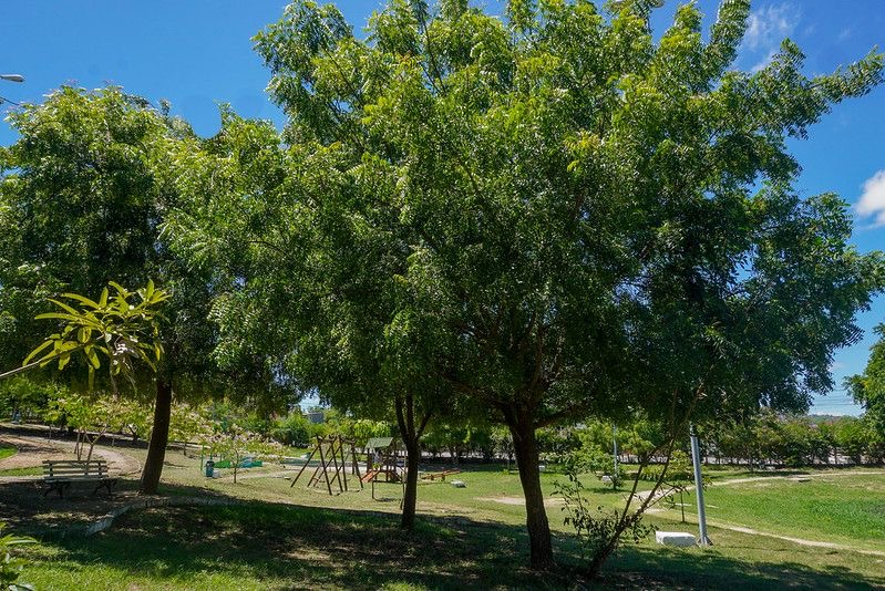 Prefeitura de Caruaru orienta população a não alimentar e nem manter contato com animais silvestres Prefeitura de Caruaru orienta população a não alimentar e nem manter contato com animais silvestres