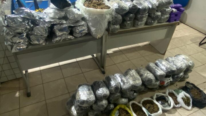 Quase 100kg de maconha são aprendidos no Agreste