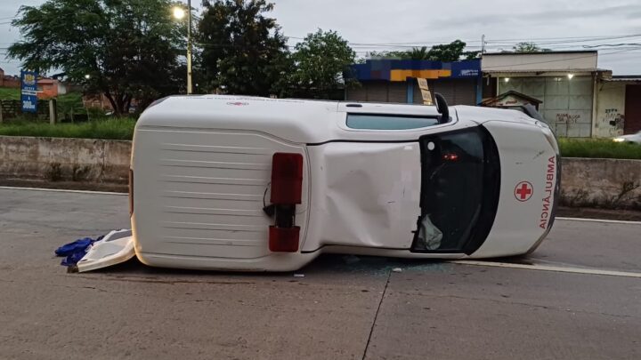 Carro bate em cavalo, e animal é atropelado por ambulância na BR 232