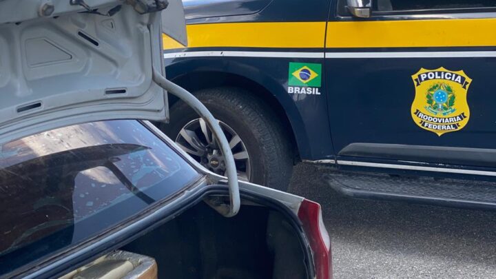 Meia tonelada de queijo sem nota fiscal e sem refrigeração é apreendida