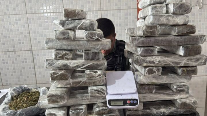 Dupla é presa com 35kg de maconha em Caruaru