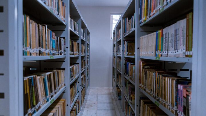 Biblioteca Municipal Álvaro Lins passará a funcionar à noite e aos fins de semana