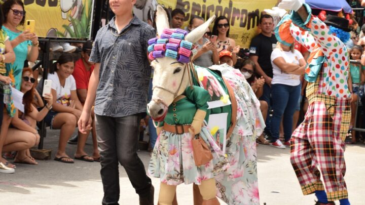 Confira a programação do Festival Nacional de Jericos de Panelas desta semana