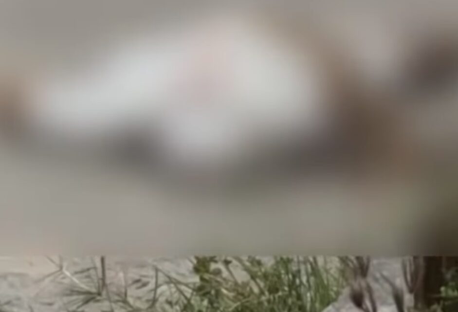 Homem é assassinado a tiros, após sair de espetinho, a caminho de casa, em Caruaru