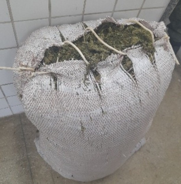 PM apreende 15kg de maconha na zona rural