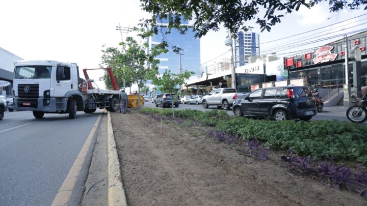 Prefeitura de Caruaru inicia construção de pista de caminhada na Avenida Agamenon Magalhães
