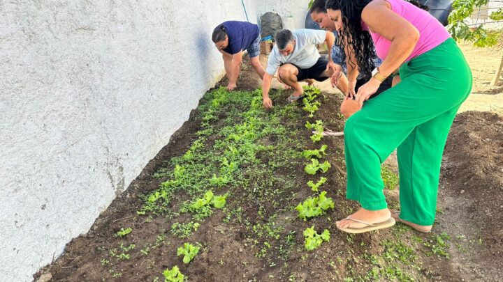 Caruaru implanta a primeira horta biofortificada em cozinha comunitária de Pernambuco e se torna referência em inovação social e segurança alimentar
