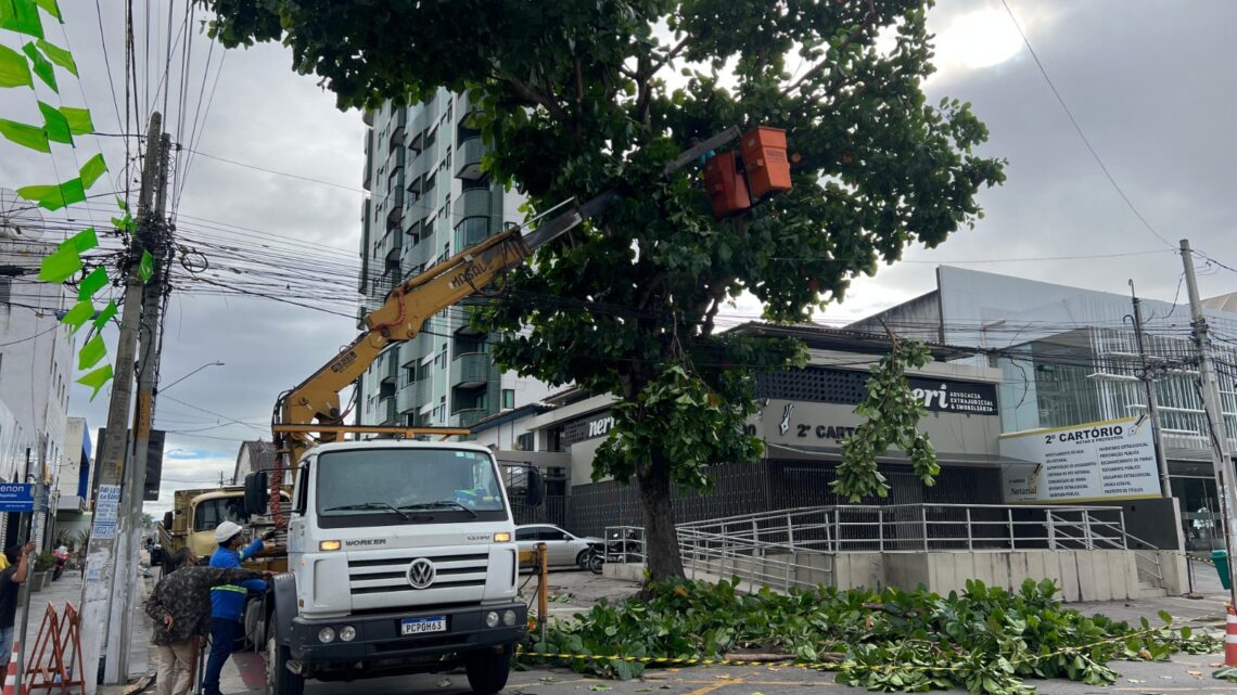 Árvores que apresentam risco de queda são removidas na avenida Agamenon Magalhães