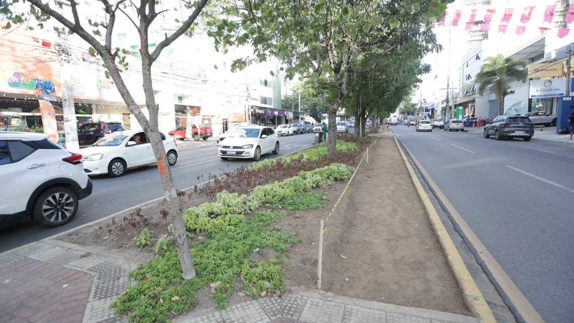 Veja ruas que serão interditadas para realização de drilha neste domingo (15) em Caruaru Veja ruas que serão interditadas para realização de drilha neste domingo (15) em Caruaru