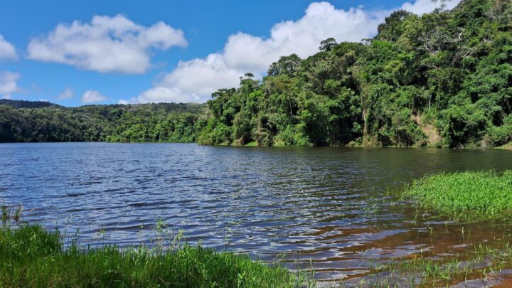 Serra dos Cavalos participa do “Um Dia no Parque” neste domingo (20)