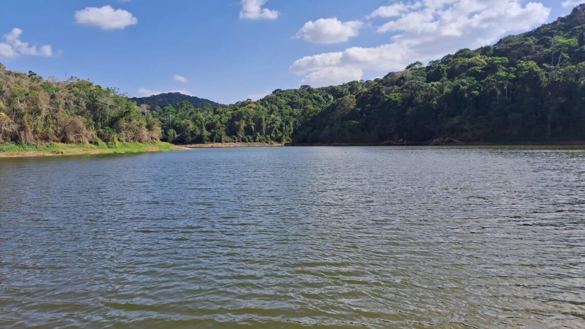 “1000 Pelo Parque” celebra aniversário da Serra dos Cavalos com plantio de mudas e atividades educativas “1000 Pelo Parque” celebra aniversário da Serra dos Cavalos com plantio de mudas e atividades educativas