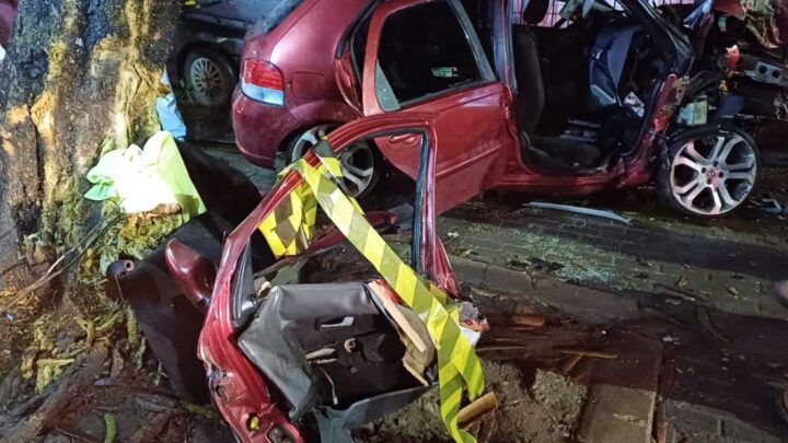 Carro bate em árvore e capota