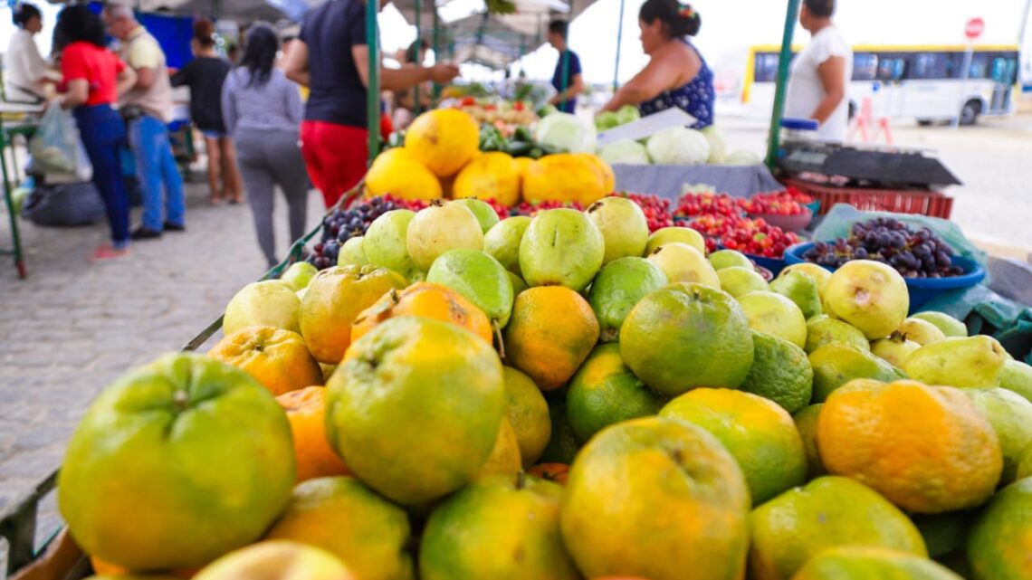 Feira livre do Xique-Xique será realizada aos domingos a partir deste final de semana