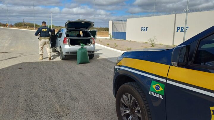 Motorista sem CNH é detido com 13 Kg de maconha