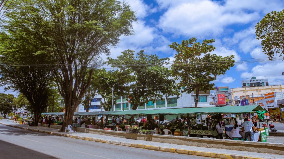 Caruaru vai lançar Central de Sustentabilidade na Feira da Agricultura Familiar Caruaru vai lançar Central de Sustentabilidade na Feira da Agricultura Familiar
