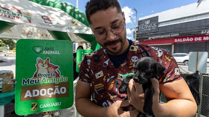 Projeto “Meu Amigão” incentiva adoção responsável de cães e gatos no Marco Zero