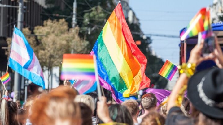 Governo-PE e conselho, realizam a IV Conferência Estadual dos Direitos da População LGBTQIAPN+, que não era realizada desde 2016