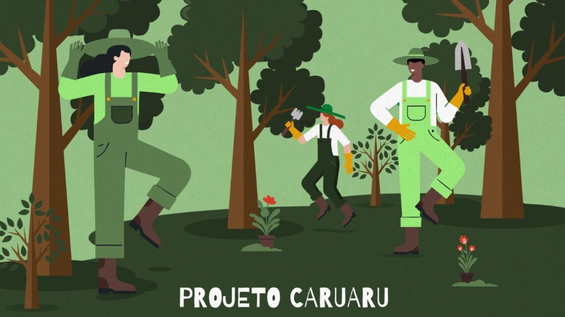 Caruaru vai promover ação ambiental em celebração ao Dia da Árvore Caruaru vai promover ação ambiental em celebração ao Dia da Árvore