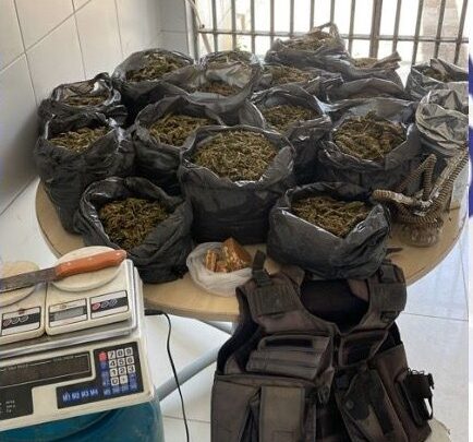 Homem tenta fugir, mas é preso com 15 kg de maconha