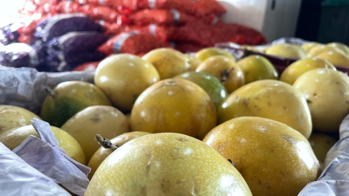 Ceaca divulga cotação semanal com redução nos preços de frutas e hortaliças