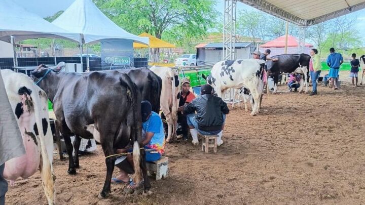 Nova Portaria da Adagro regulamenta realização de Torneios Leiteiros em Pernambuco